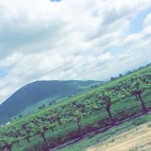 Meet your Posher, Erik